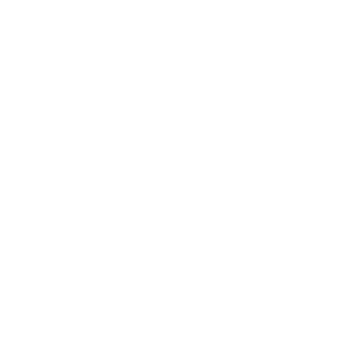 Pentest & Audit